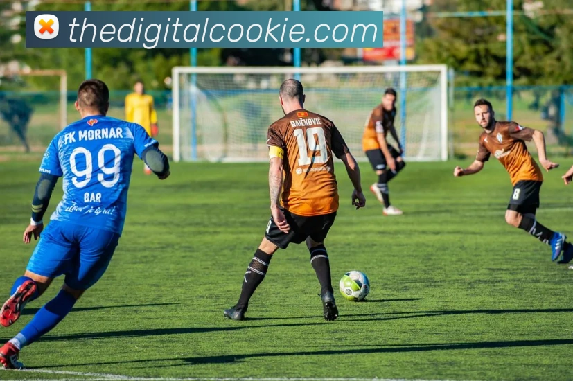 mksports官网平台生态图