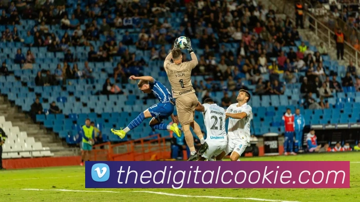 mksports官网APP 封面图